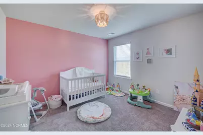6205 Centipede Place, Castle Hayne, NC 28429 - Photo 17