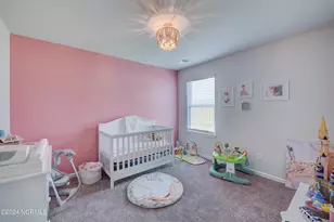 6205 Centipede Pl, Castle Hayne, NC 28429 - Photo 17