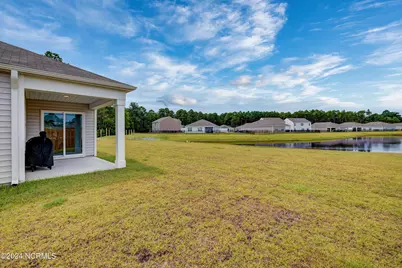 6205 Centipede Place, Castle Hayne, NC 28429 - Photo 29