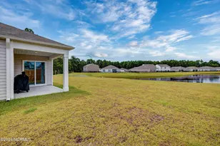 6205 Centipede Pl, Castle Hayne, NC 28429 - Photo 29