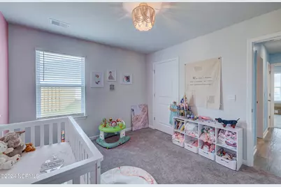 6205 Centipede Place, Castle Hayne, NC 28429 - Photo 19