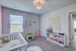 6205 Centipede Pl, Castle Hayne, NC 28429 - Photo 19