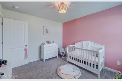 6205 Centipede Place, Castle Hayne, NC 28429 - Photo 17