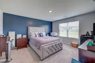 6205 Centipede Pl, Castle Hayne, NC 28429 - Photo 13