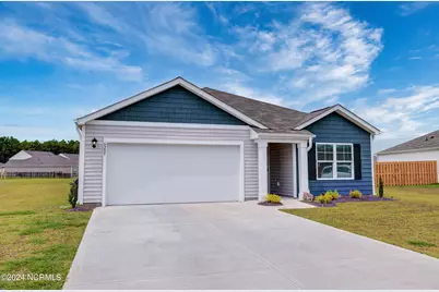 6205 Centipede Place, Castle Hayne, NC 28429 - Photo 3