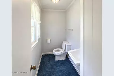 308 Charles Street, Rich Square, NC 27869 - Photo 9