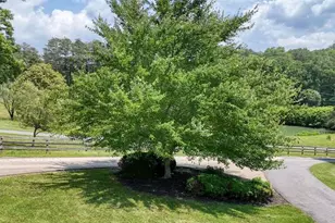 115 Dawsons Ln, Murphy, NC 28906 - Photo 81