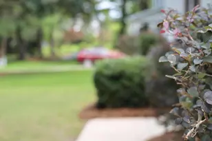 3943 Appleton Way, Wilmington, NC 28412 - Photo 91