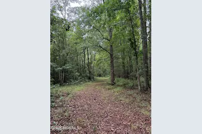 359 Roe and Sarah Drive, Clarkton, NC 28433 - Photo 11