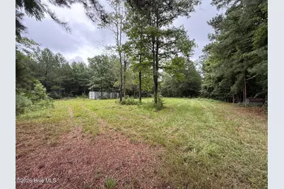 359 Roe and Sarah Drive, Clarkton, NC 28433 - Photo 3