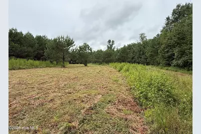 359 Roe and Sarah Drive, Clarkton, NC 28433 - Photo 17