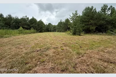 359 Roe and Sarah Drive, Clarkton, NC 28433 - Photo 9