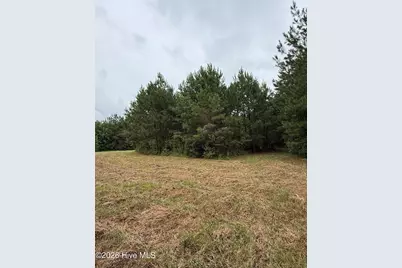 359 Roe and Sarah Drive, Clarkton, NC 28433 - Photo 13