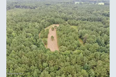 359 Roe and Sarah Drive, Clarkton, NC 28433 - Photo 27