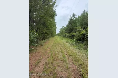 359 Roe and Sarah Drive, Clarkton, NC 28433 - Photo 19