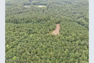 359 Roe and Sarah Drive, Clarkton, NC 28433 - Photo 23