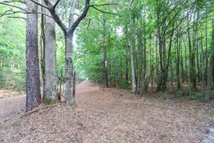 1225 Lynch's Corner Rd, Elizabeth City, NC 27909 - Photo 35