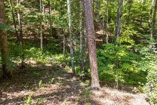 132 Lanes Wy, Murphy, NC 28906 - Photo 33