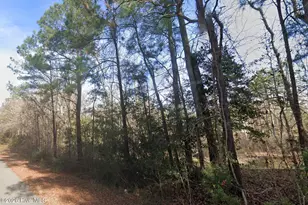 143 N Line Dr, Hampstead, NC 28443 - Photo 1