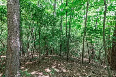Lot 56 Indian Rock Springs, Murphy, NC 28906 - Photo 15