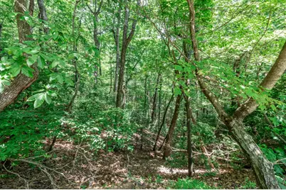 Lot 56 Indian Rock Springs, Murphy, NC 28906 - Photo 9