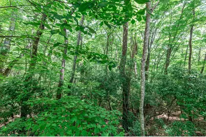 Lot 56 Indian Rock Springs, Murphy, NC 28906 - Photo 13