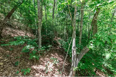 Lot 56 Indian Rock Springs, Murphy, NC 28906 - Photo 7