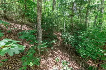 Lot 56 Indian Rock Springs, Murphy, NC 28906 - Photo 11
