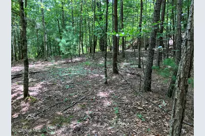 11 Green Cove Circle, Murphy, NC 28906 - Photo 3