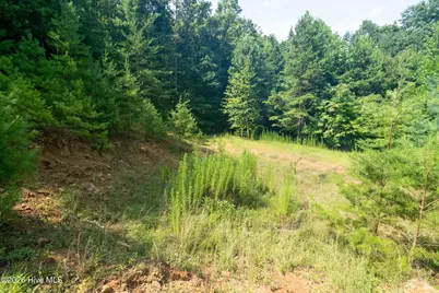 37 Toccoa Lane, Murphy, NC 28906 - Photo 15