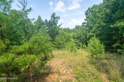37 Toccoa Lane, Murphy, NC 28906 - Photo 11