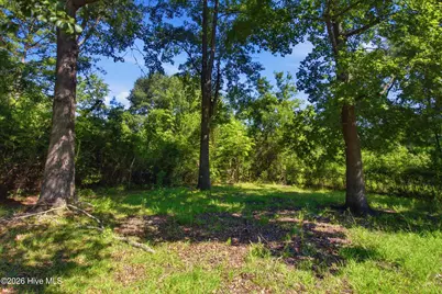 165 High School Road, Vanceboro, NC 28586 - Photo 31