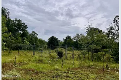 0 Carolina 381, Hamlet, NC 28345 - Photo 1
