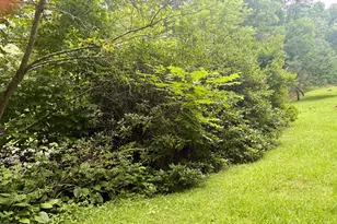 913 Franks Creek Rd, Robbinsville, NC 28771 - Photo 31