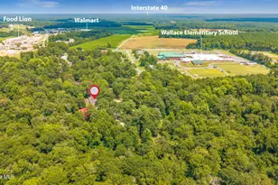 177 Washington Cir, Wallace, NC 28466 - Photo 23