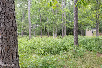 496 Hearthside Drive SE, Bolivia, NC 28422 - Photo 13