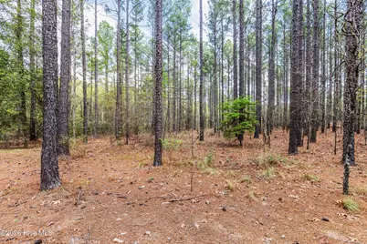 215 Cameron Camp Road, Cameron, NC 28326 - Photo 53