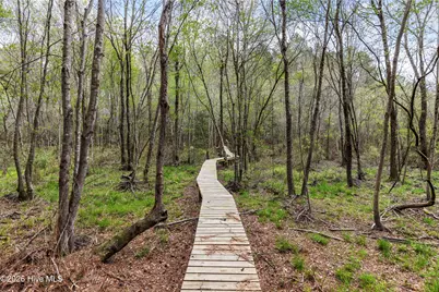 215 Cameron Camp Road, Cameron, NC 28326 - Photo 51