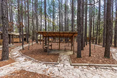 215 Cameron Camp Road, Cameron, NC 28326 - Photo 59