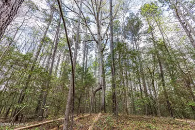 215 Cameron Camp Road, Cameron, NC 28326 - Photo 49