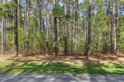 215 Cameron Camp Road, Cameron, NC 28326 - Photo 5