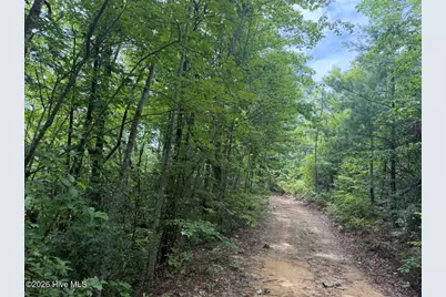 760 Cliff Top Trail, Andrews, NC 28901 - Photo 5