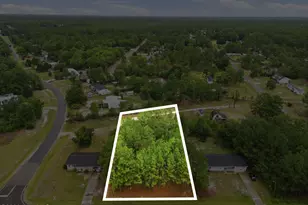 3632 Mount Misery Rd NE, Leland, NC 28451 - Photo 1