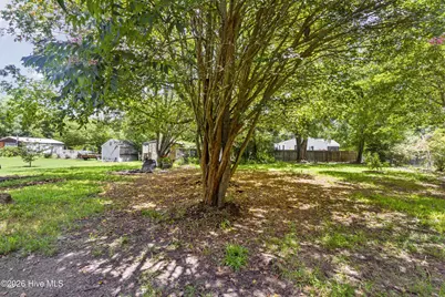 312 Beach Street, New Bern, NC 28560 - Photo 67
