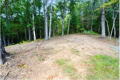 Tbd Nature Valley Trail, Murphy, NC 28906 - Photo 3