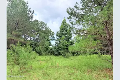 6 Grant Circle, Sneads Ferry, NC 28460 - Photo 3