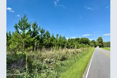 Tbd Roberdel School Road, Rockingham, NC 28379 - Photo 17