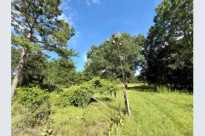 Tbd Roberdel School Road, Rockingham, NC 28379 - Photo 11