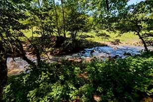 169 E Vineyard Rd, Hayesville, NC 28904 - Photo 7