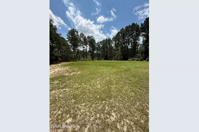 6549 Snider Road, Mitchell, GA 30820 - Photo 21